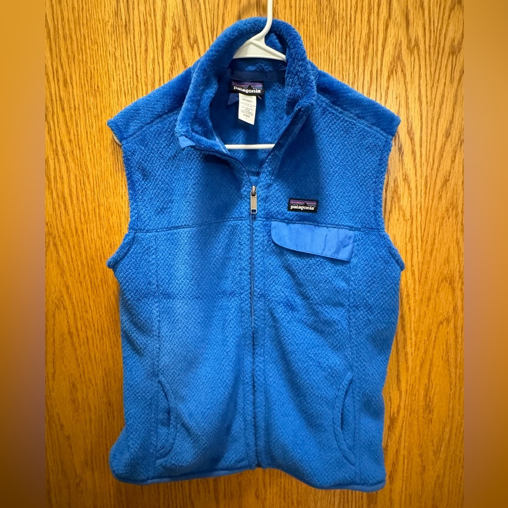 Patagonia Blue Fleece Vest